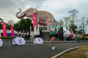 BIB: 
                            <button type="button" onclick="openModal(26528493)" class="btn btn-primary btn-sm float-right btn-popup" data-toggle="modal" data-target=".modal-high-quality">
                        <i class="fas fa-shopping-cart"></i> Add to Cart
                    </button>
                                            <button type="button" onclick="isThisMe(26528493, true)" class="btn btn-success btn-sm float-right btn-popup btn-isme hidden" data-toggle="tooltip" data-placement="bottom" title="นี่คือรูปของคุณใช่ไหม คลิกที่นี่เพื่อเอาเข้าอัลบั้ม">
                        <i class="fas fa-plus"></i> Add to album
                    </button>
                    <button type="button" onclick="isThisMe(26528493, false)" class="btn btn-warning btn-sm float-right btn-popup btn-isnotme hidden">
                        <i class="fas fa-ban"></i> Remove from album
                    </button>